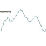 peço do boi gordo