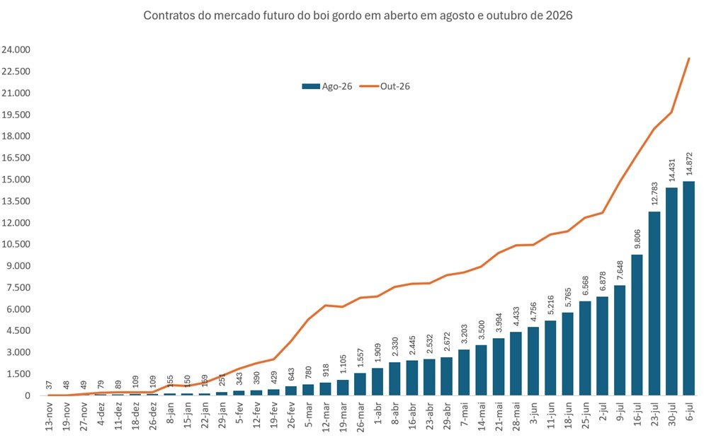 contrato futuro do boi gordo