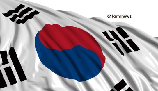 importação de carne bovina do Brasil pela Coreia do Sul