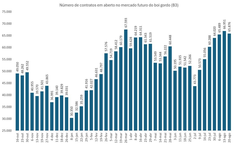 posições em aberto na B3