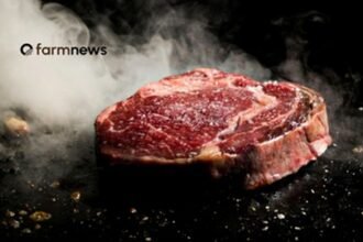 venda de carne bovina