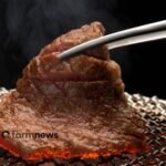 importação ode carne bovina do Brasil pela China