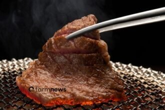 importação ode carne bovina do Brasil pela China