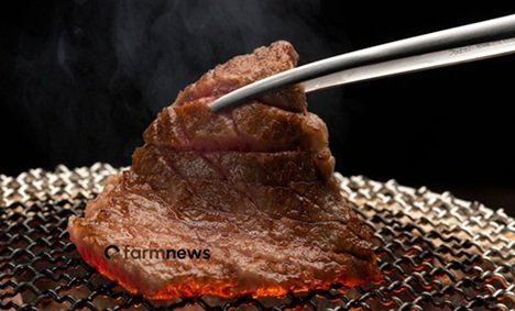 importação ode carne bovina do Brasil pela China