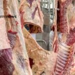 importação de carne bovina do Brasil pelos EUA