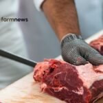 preço da carne bovina sem osso no atacado