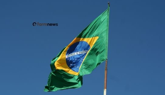 Flávio ou Lula