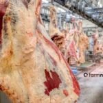 preço da carne bovina no atacado