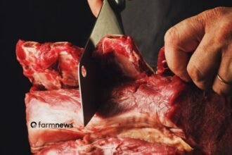 consumo de carne bovina