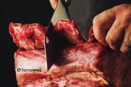 consumo de carne bovina