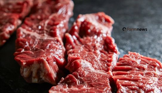 venda de carne bovina do Brasil