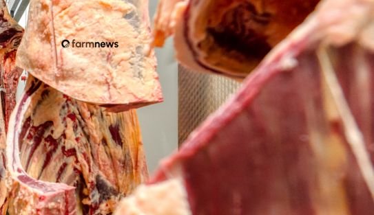 compra de carne bovina do Brasil pela Rússia