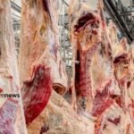 exportação de carne bovina do Brasil