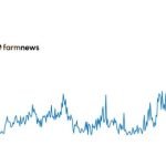 exportação de bovinos vivos