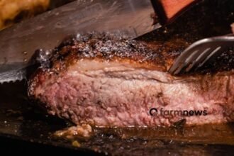 importação de carne bovina do Brasil pelos EUA