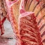 preço da carne bovina no atacado