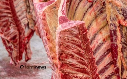 preço da carne bovina no atacado