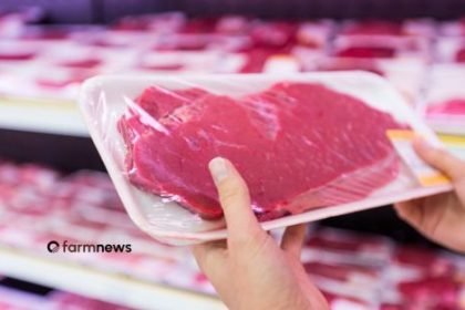venda de carne bovina