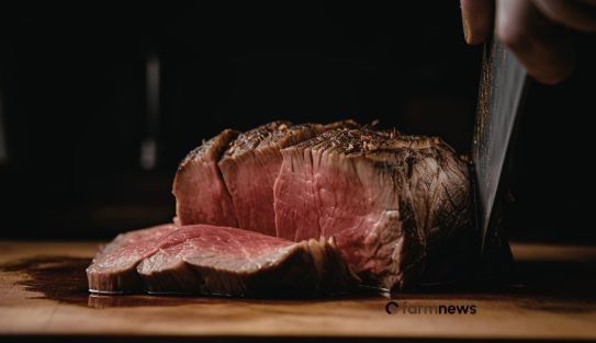 preço da carne bovina
