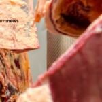 venda de carne bovina do Brasil para a China