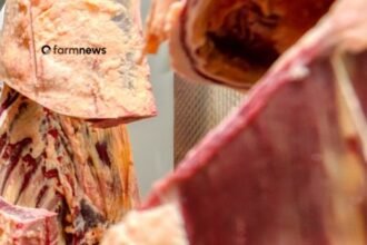 venda de carne bovina do Brasil para a China