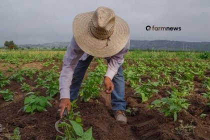 agro brasileiro
