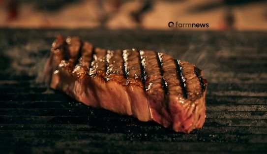 venda de carne bovina