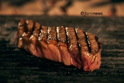 preço de carne bovina nos EUA