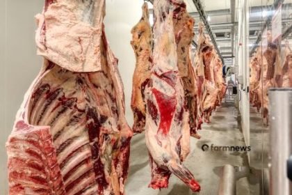 preço da carne bovina nos EUA