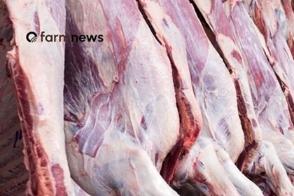 carne bovina do Brasil